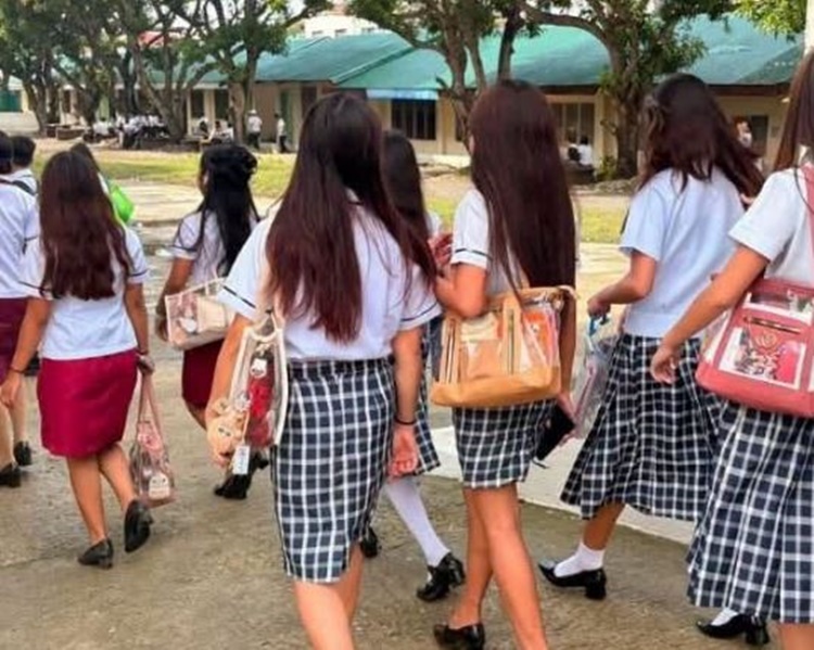Transparent Bags
