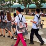 Transparent Bags