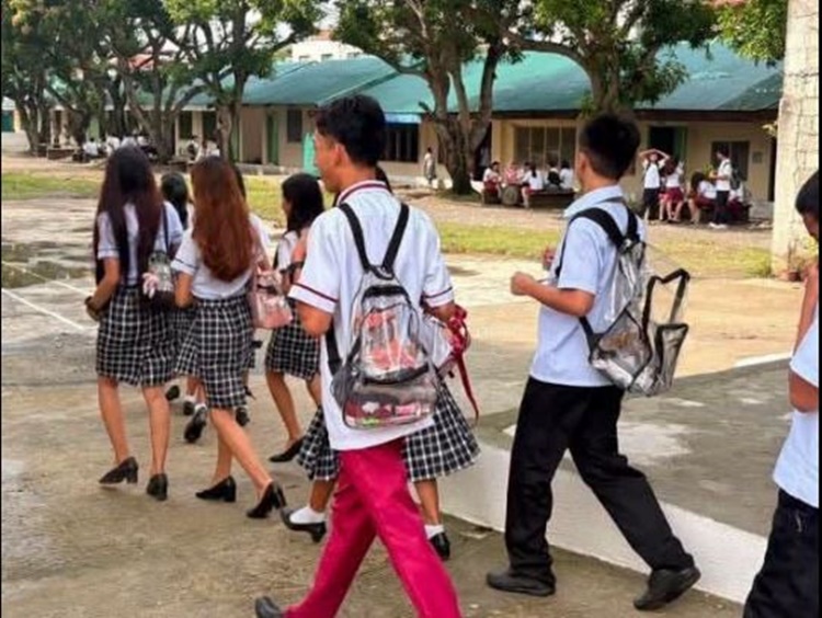 Transparent Bags