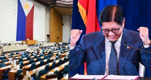 House Budget Panel, Bongbong Marcos