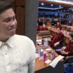 Migz Zubiri