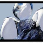 Oukitel RT11 specs