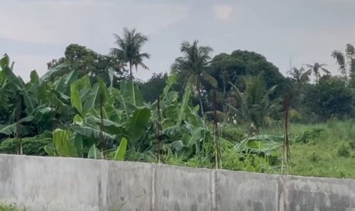 Poultry Farm
