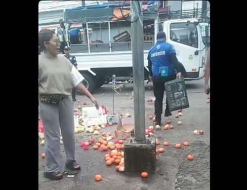 Fruit Vendor