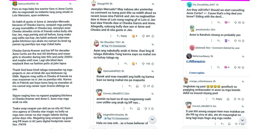 anne curtis comments