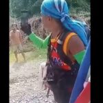 Philippine Looper